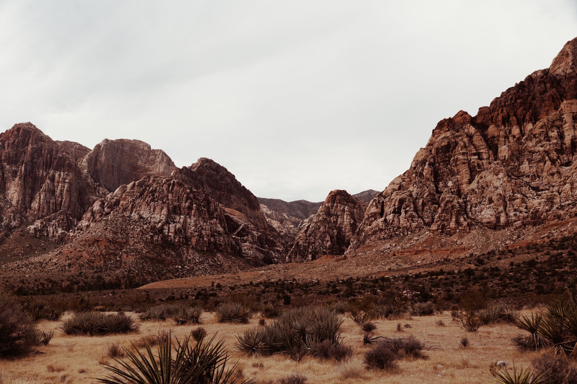 Desert Sur tour, Nevada / California