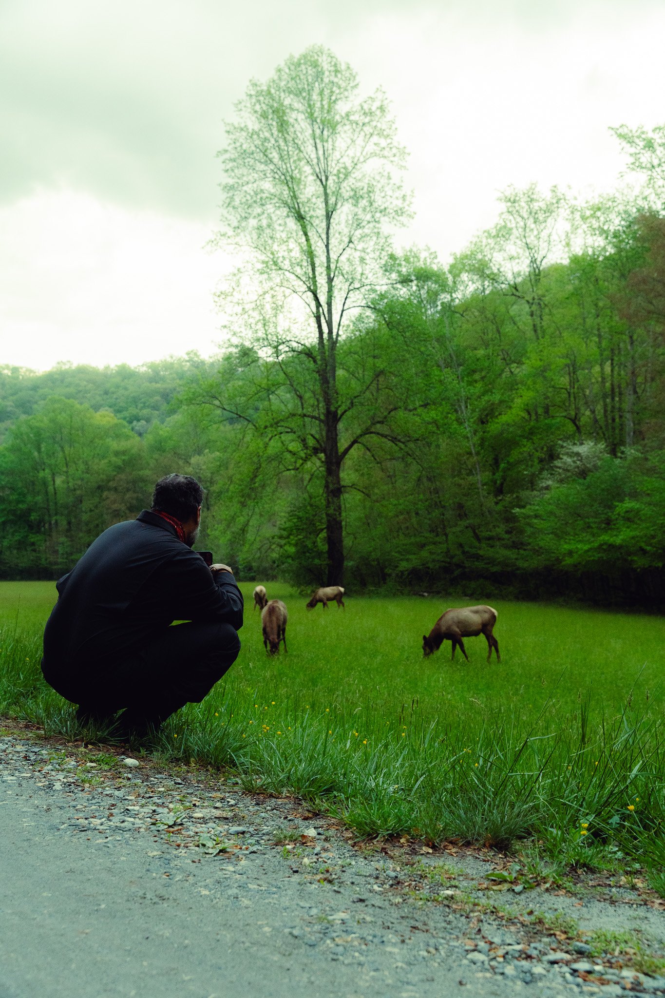 Eagles and Dragons tour, Appalachian Mountains
