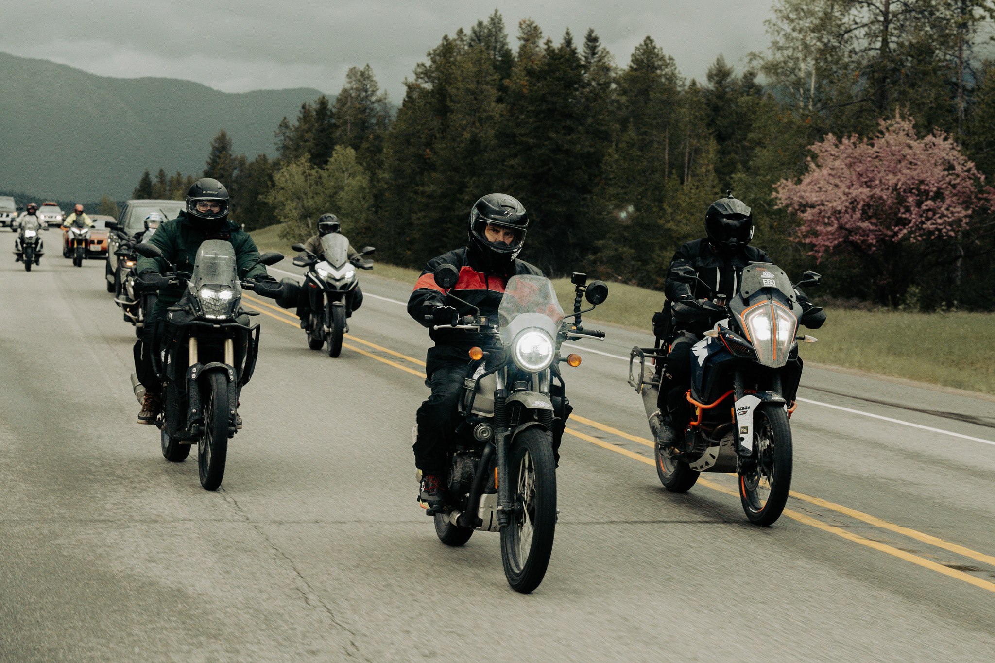 Group of riders approaching on a forest highway