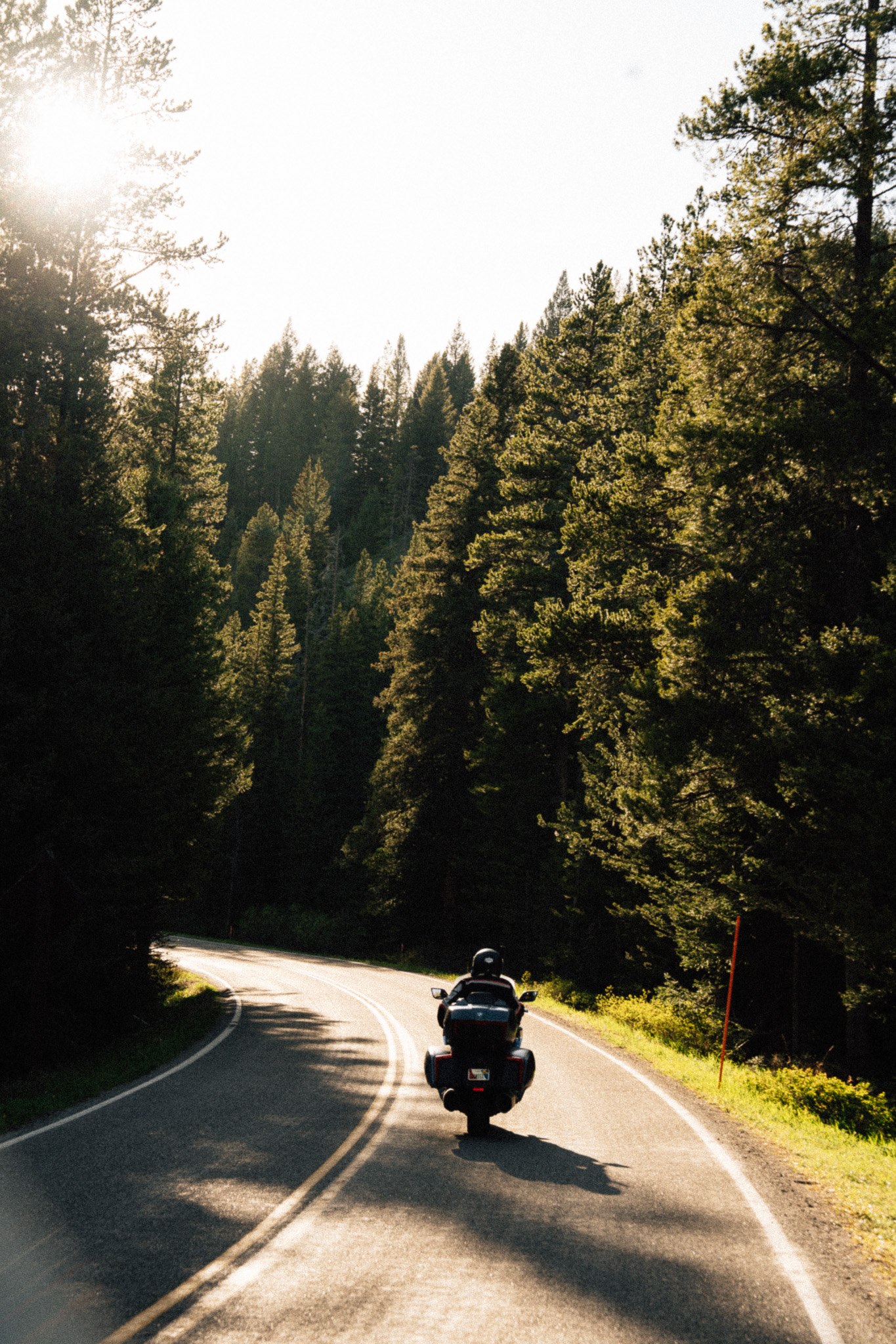 Rider on a forest road with sun rays breaking through the trees