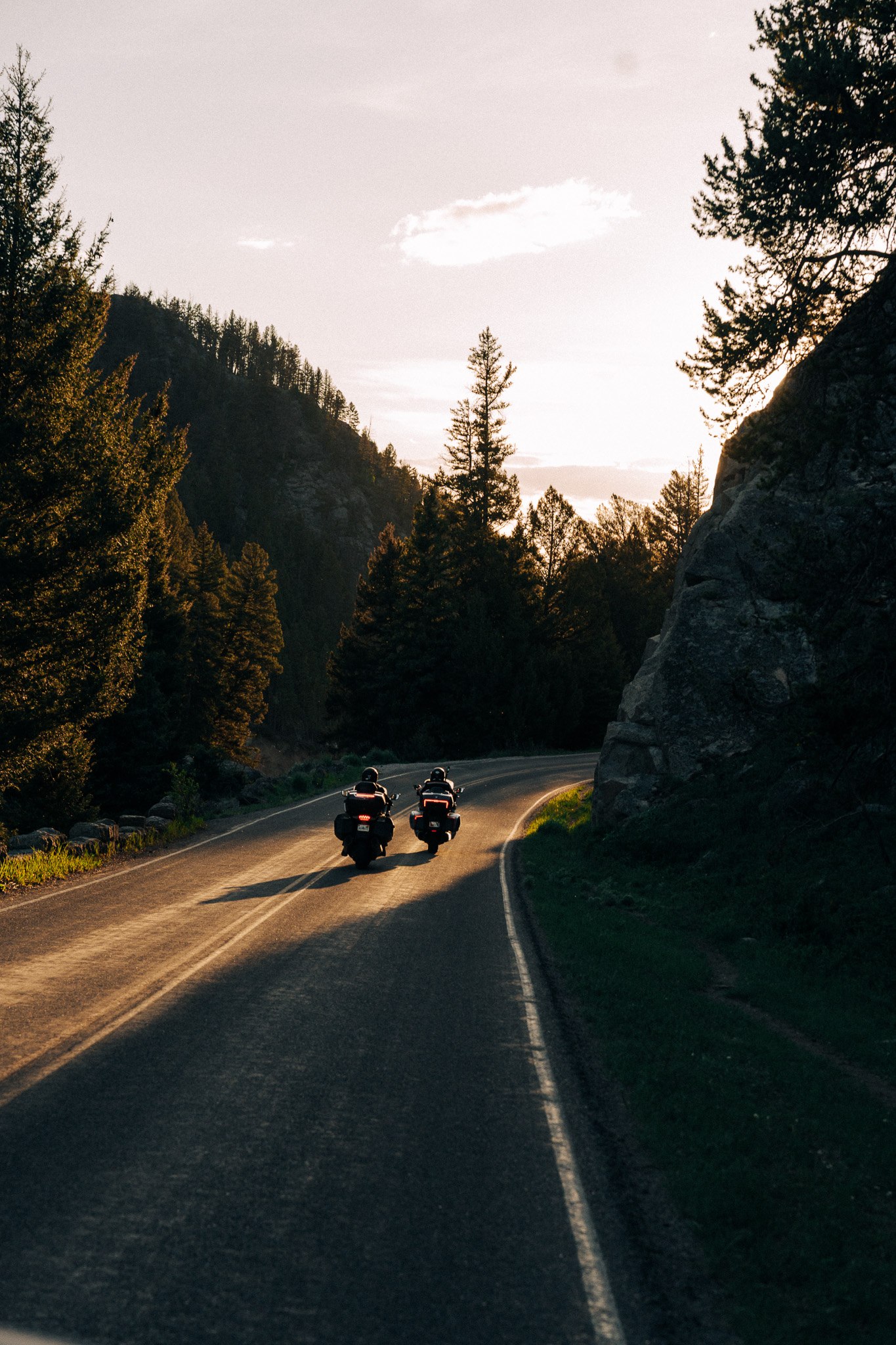 Group of riders in staggered formation on a forest road