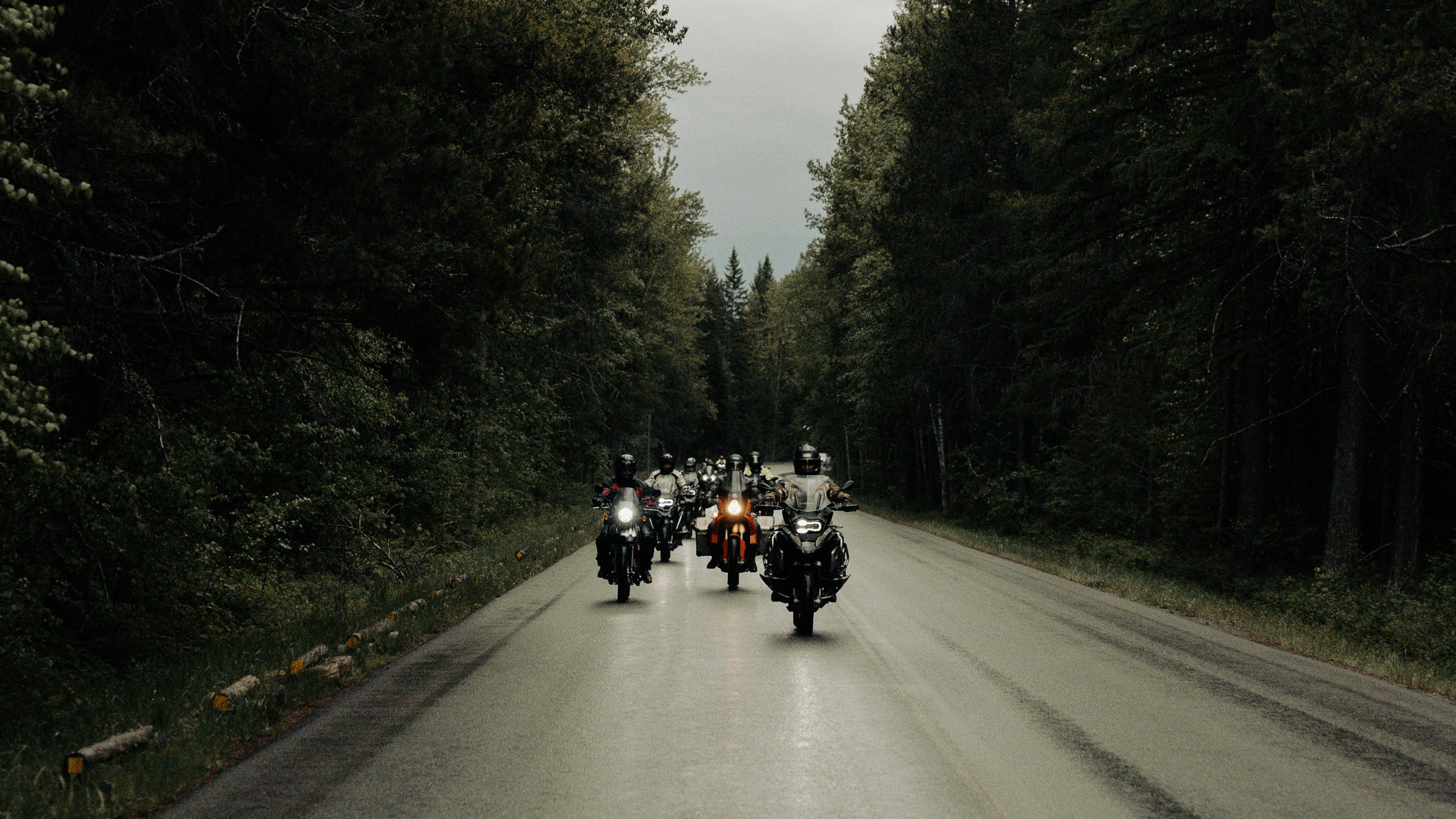 Wild West Loop tour — riders on a forest road